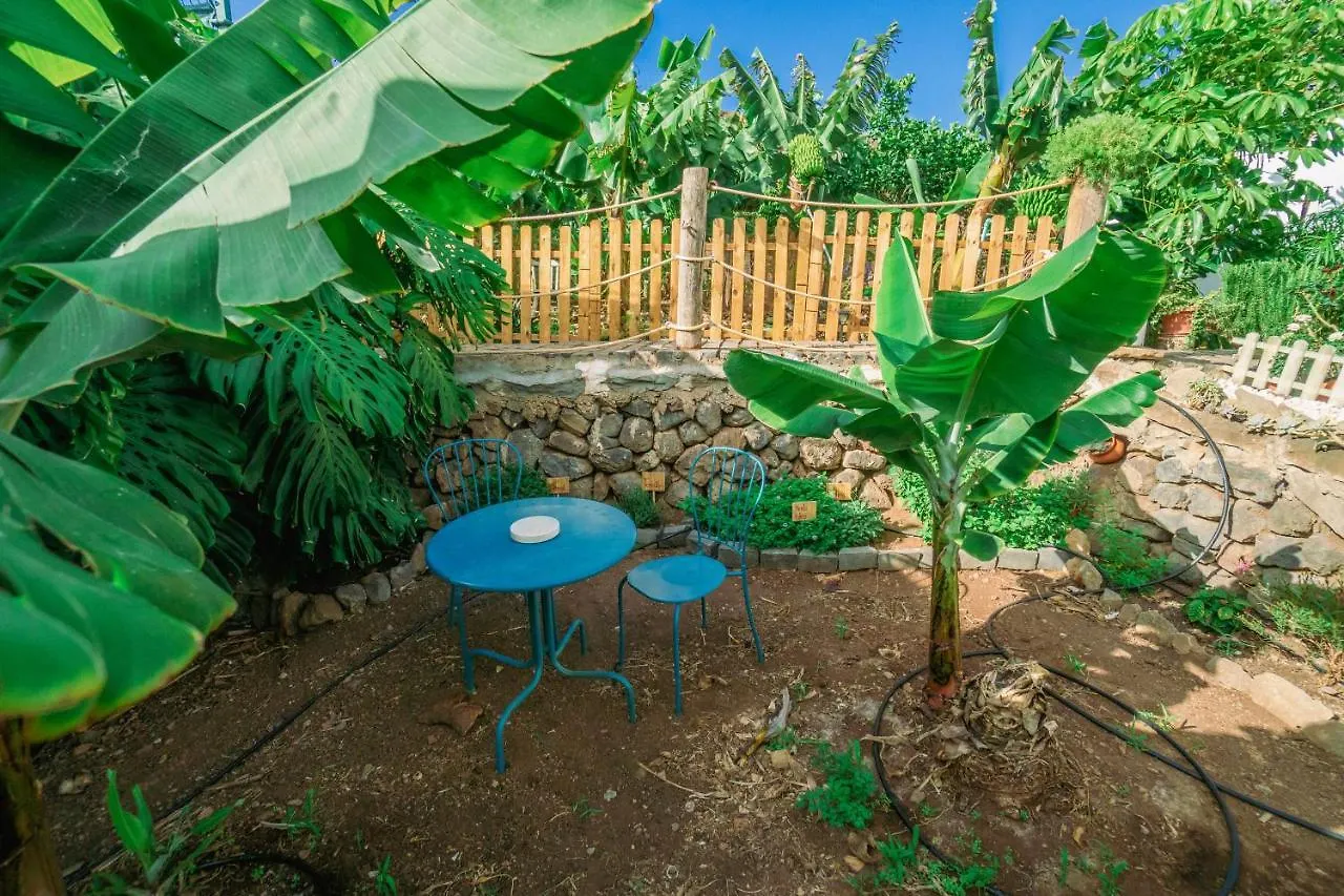 Casa Emblematica Maruca Y Leli Villa Los Silos Holiday home