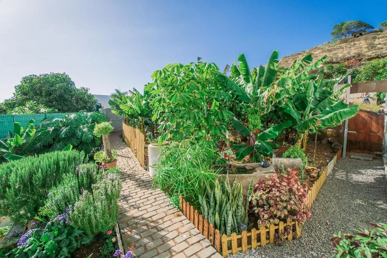 Holiday home Casa Emblematica Maruca Y Leli Villa Los Silos Spain